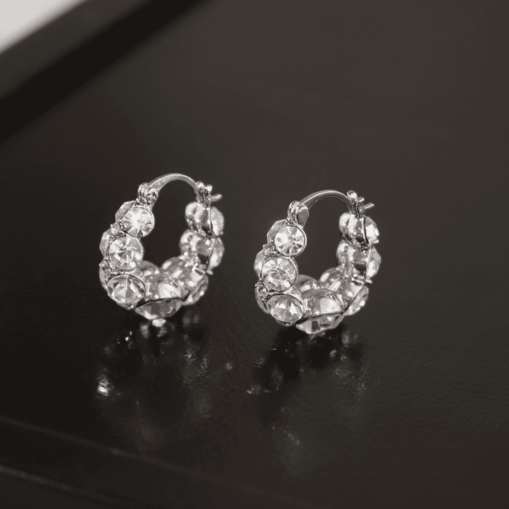 Style Zircon Sparkling Earrings